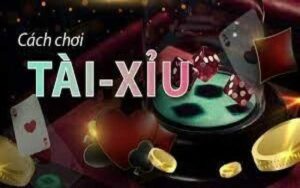 Tìm hiểu các thuật ngữ trong tài xỉu